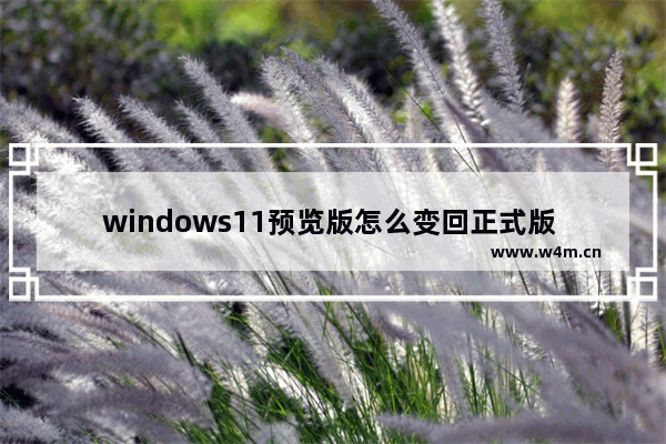 windows11预览版怎么变回正式版 windows11预览版变回正式版教程