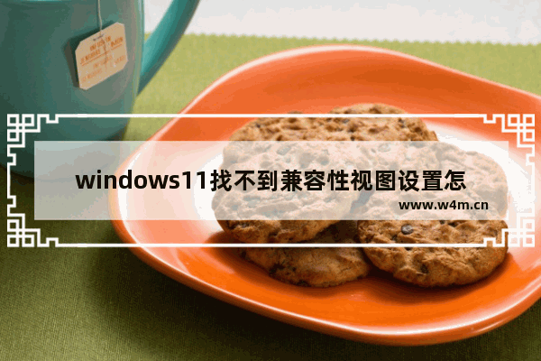 windows11找不到兼容性视图设置怎么办 windows11兼容性视图设置位置介绍