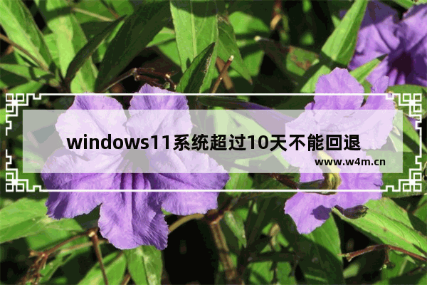 windows11系统超过10天不能回退怎么办