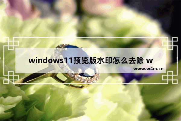 windows11预览版水印怎么去除 windows11预览版水印去除方法