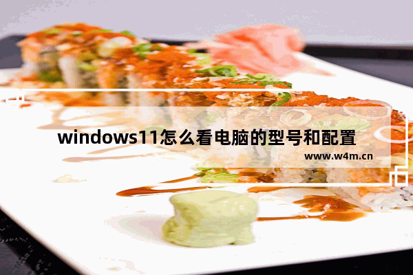 windows11怎么看电脑的型号和配置 windows11看电脑的型号和配置方法