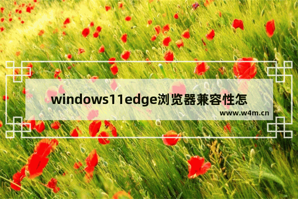 windows11edge浏览器兼容性怎么设置 windows11edge浏览器兼容性设置方法