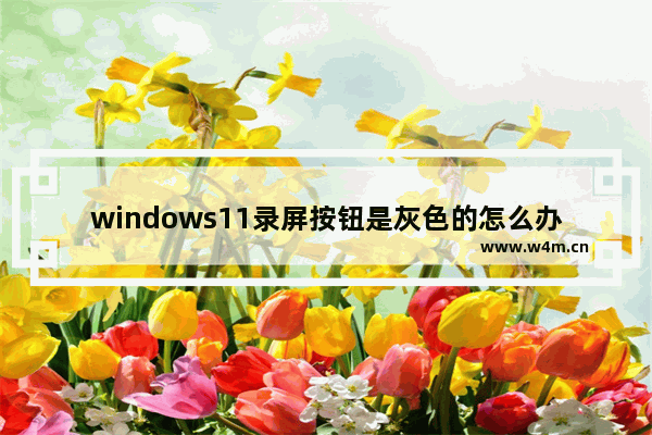 windows11录屏按钮是灰色的怎么办 windows11录屏按钮是灰色的解决办法