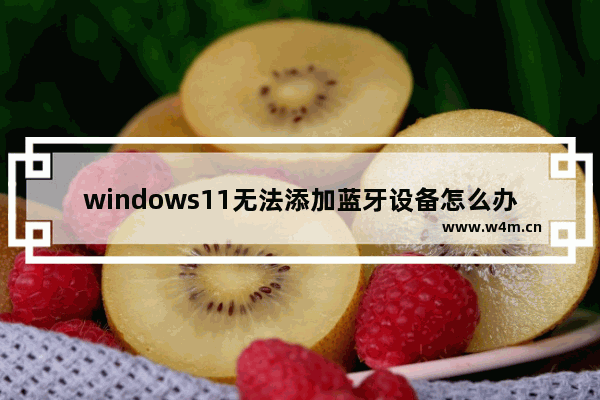 windows11无法添加蓝牙设备怎么办 windows11无法添加蓝牙设备解决办法