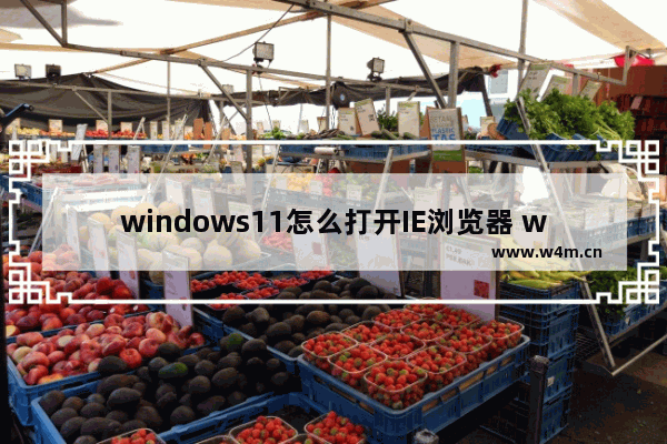 windows11怎么打开IE浏览器 windows11怎么打开IE浏览器教程