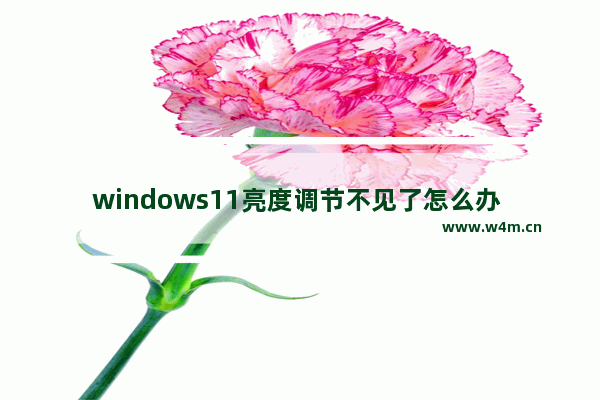 windows11亮度调节不见了怎么办 windows11亮度调节不见了解决办法