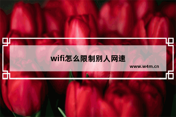 wifi怎么限制别人网速