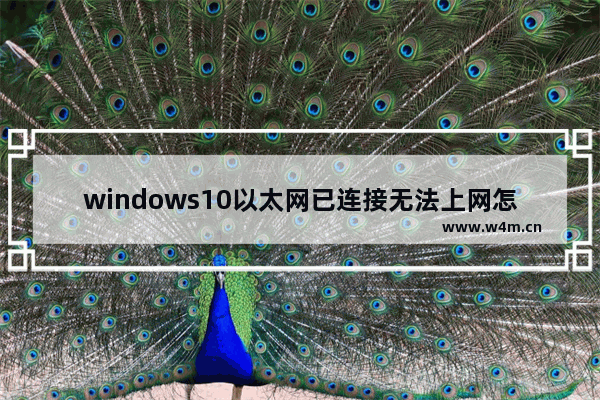 windows10以太网已连接无法上网怎么办 windows10以太网已连接无法上网解决方法