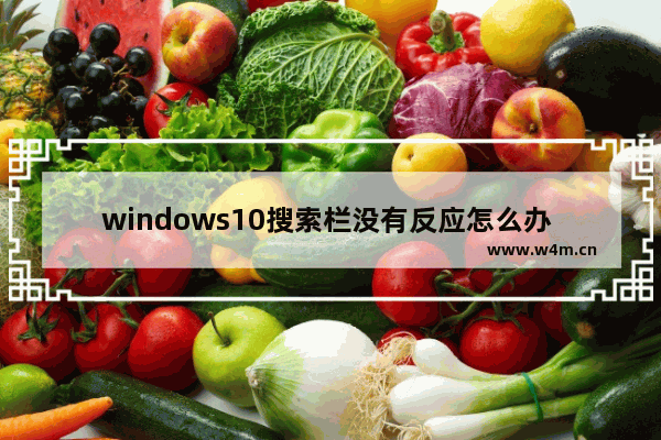 windows10搜索栏没有反应怎么办 windows10搜索栏没有反应解决办法