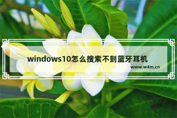 windows10怎么搜索不到蓝牙耳机 windows10搜索不到蓝牙耳机设备怎么办