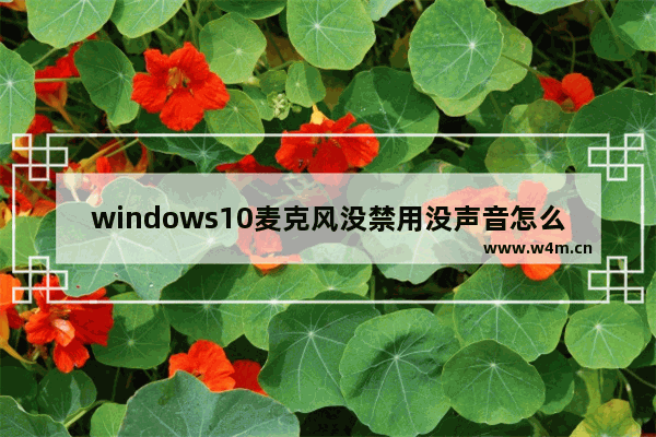 windows10麦克风没禁用没声音怎么办 windows10内置麦克风没声音解决方法