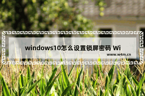 windows10怎么设置锁屏密码 Windows10如何设置锁屏密码