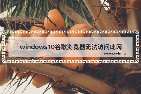 windows10谷歌浏览器无法访问此网站怎么解决