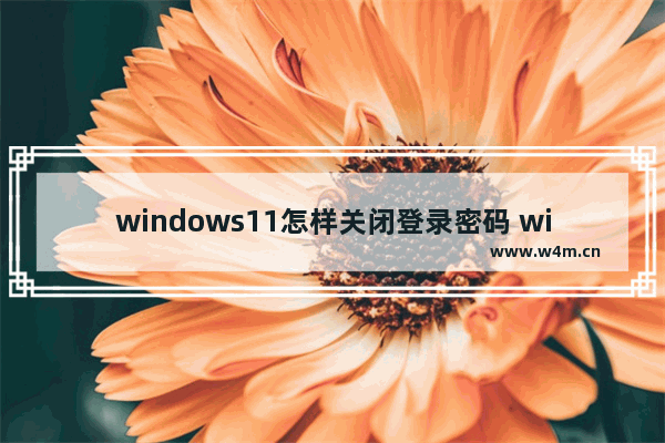 windows11怎样关闭登录密码 windows11登录密码如何取消