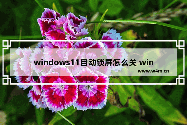 windows11自动锁屏怎么关 windows11怎么关闭锁屏