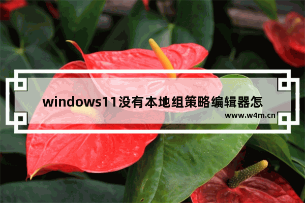 windows11没有本地组策略编辑器怎么办 windows11没有本地组策略编辑器解决办法