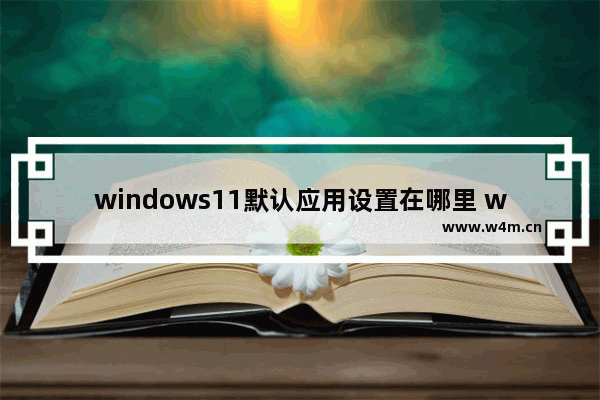 windows11默认应用设置在哪里 windows11怎么设置默认应用