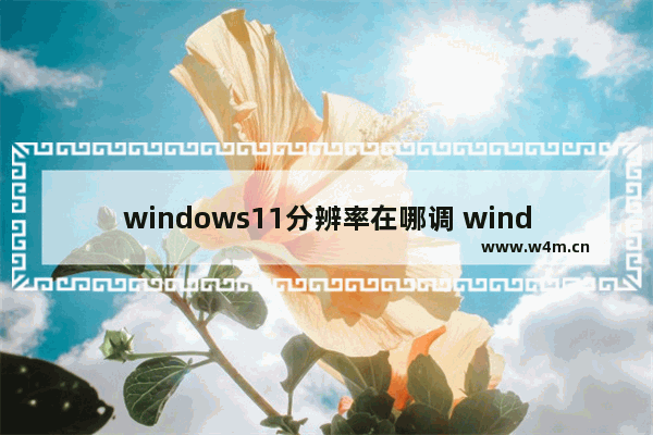 windows11分辨率在哪调 windows11分辨率怎么调