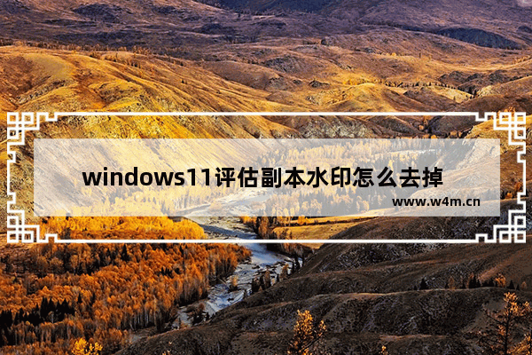 windows11评估副本水印怎么去掉 windows11评估副本水印去掉方法