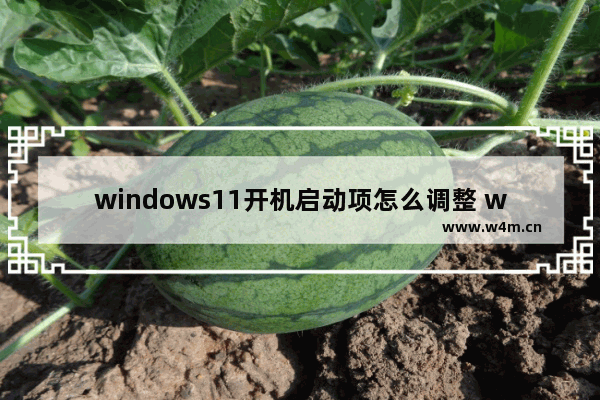 windows11开机启动项怎么调整 windows11怎么设置软件自启动