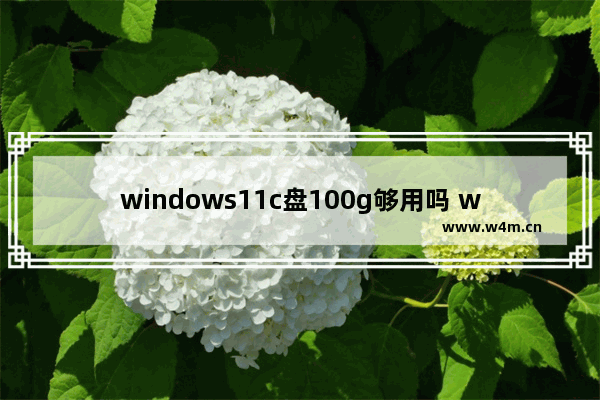 windows11c盘100g够用吗 windows11系统盘需要多少G