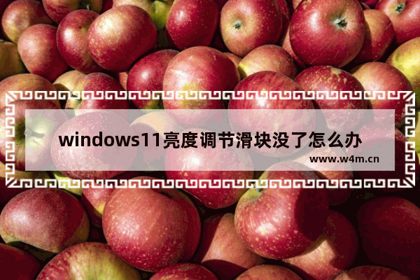 windows11亮度调节滑块没了怎么办 windows11亮度调节滑块没了解决办法