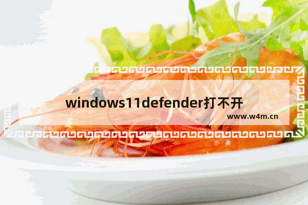 windows11defender打不开怎么办 windows11defender打不开解决方法