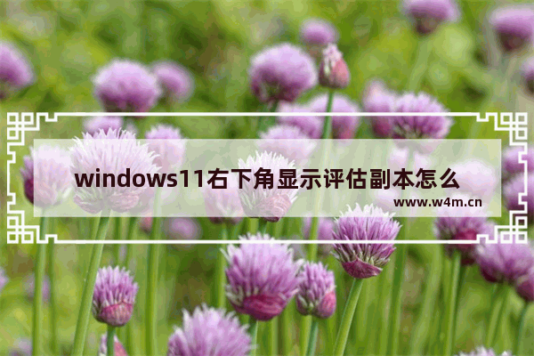 windows11右下角显示评估副本怎么办 windows11右下角显示评估副本解决处理