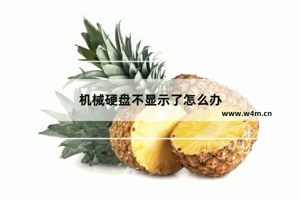 机械硬盘不显示了怎么办