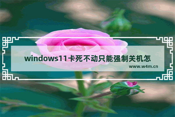 windows11卡死不动只能强制关机怎么办 windows11卡死不动只能强制关机解决方法