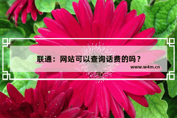 联通：网站可以查询话费的吗？