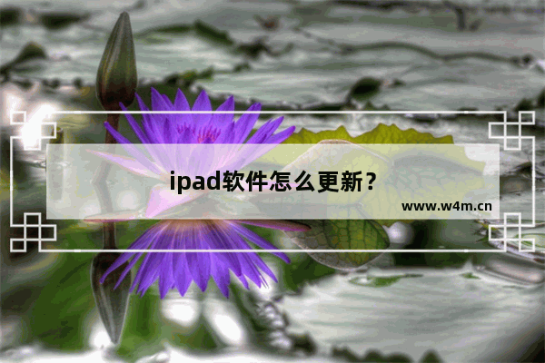 ipad软件怎么更新？