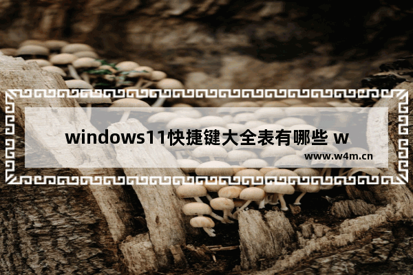 windows11快捷键大全表有哪些 windows11快捷键大全表怎么按