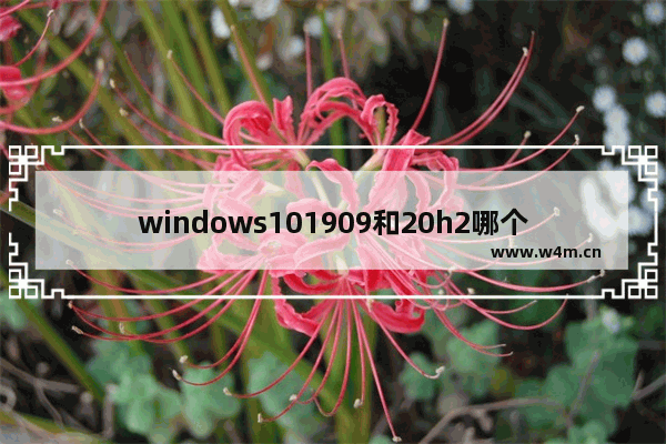 windows101909和20h2哪个好 windows1020H2比1909稳定吗