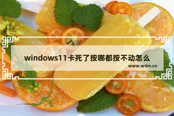 windows11卡死了按哪都按不动怎么办 windows11卡死了按哪都按不动解决办法