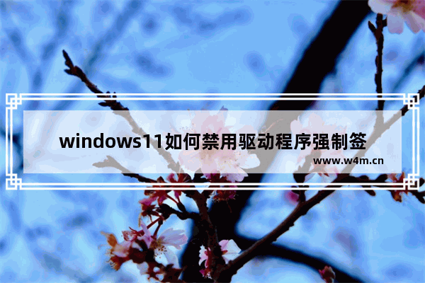 windows11如何禁用驱动程序强制签名 windows11禁用驱动程序强制签名方法