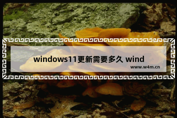 windows11更新需要多久 windows11更新要多长时间