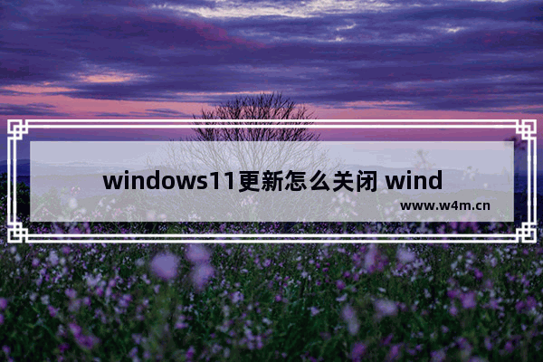 windows11更新怎么关闭 windows11如何关闭更新