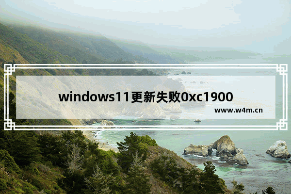 windows11更新失败0xc1900101怎么办 windows11更新失败0xc1900101解决方法