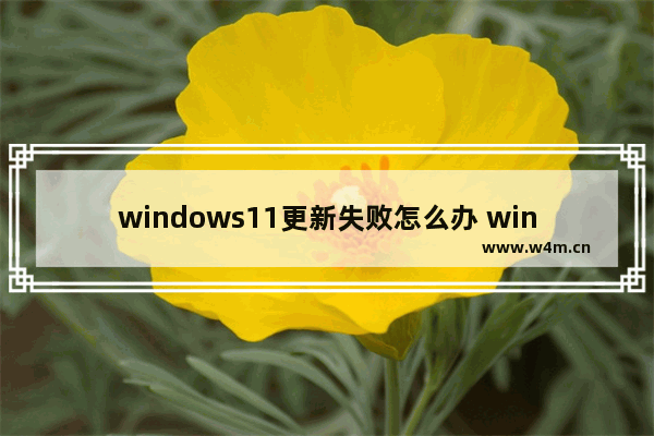 windows11更新失败怎么办 windows11正式版更新失败解决方法