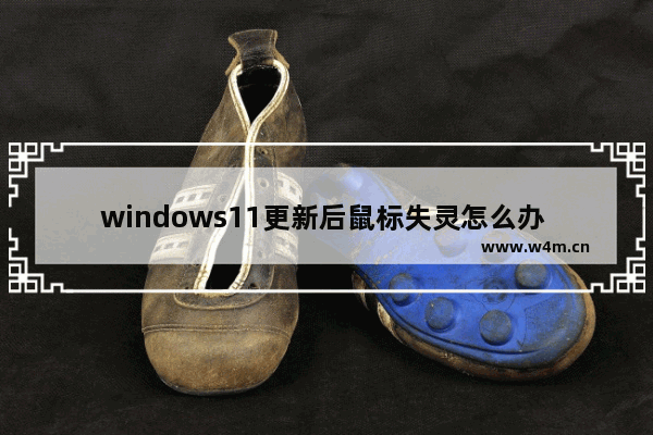 windows11更新后鼠标失灵怎么办 windows11更新后鼠标失灵解决办法