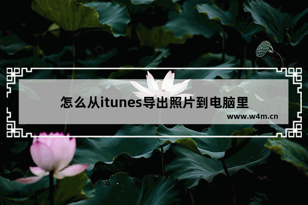 怎么从itunes导出照片到电脑里