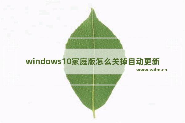 windows10家庭版怎么关掉自动更新 windows10家庭版关闭自动更新方法