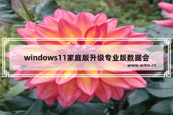 windows11家庭版升级专业版数据会清除吗