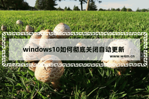 windows10如何彻底关闭自动更新 windows10关闭自动更新方法永久