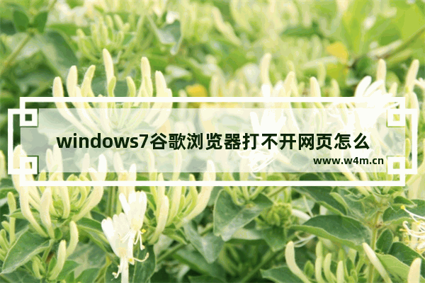 windows7谷歌浏览器打不开网页怎么办 windows7谷歌浏览器打不开网页解决方法