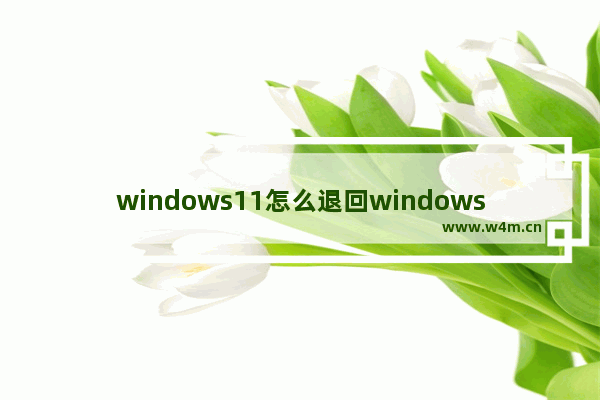 windows11怎么退回windows10 windows11如何退回windows10