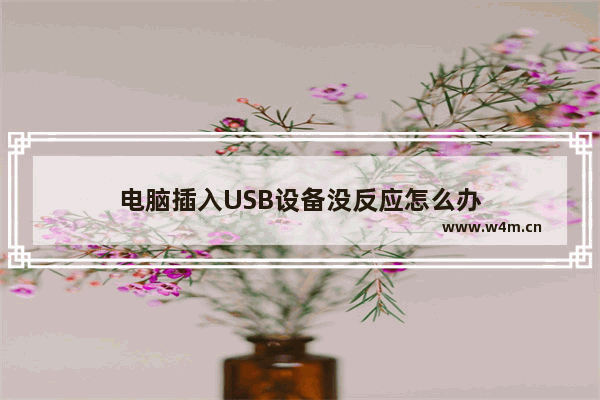 电脑插入USB设备没反应怎么办