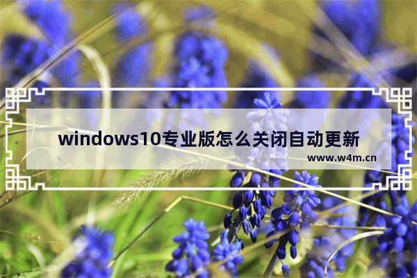 windows10专业版怎么关闭自动更新 windows10专业版关闭自动更新教程