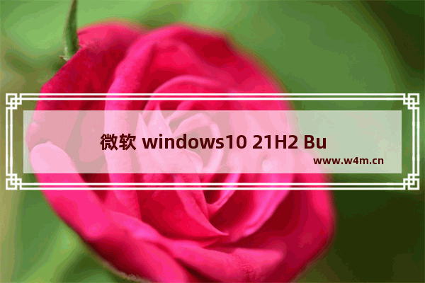 微软 windows10 21H2 Build 19044.1806预览版解决Wi-Fi热点问题